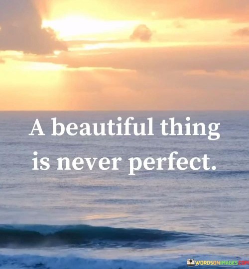 A Beautiful Thing Is Never Perfect Quotes