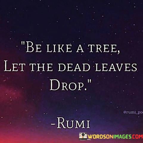 Be-Like-A-Tree-Let-The-Dead-Leaves-Drop-Quotes.jpeg