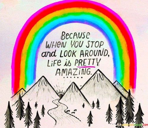 Because When You Stop And Look Around Life Is Pretty Amazing Quotes