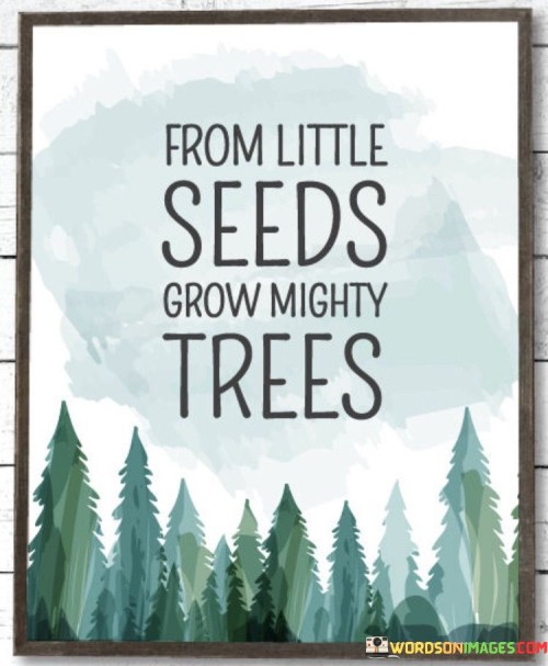 From Little Seeds Grow Mighty Trees Quotes