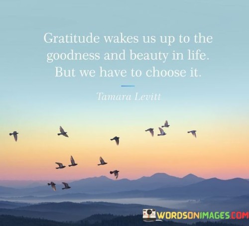 Gratitude Wake Us Up To Te Goodness And Beauty In Life Quotes