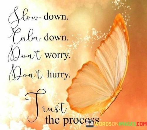 Slow-Down-Calm-Down-Dont-Worry-Dont-Hurry-Trust-The-Process-Quotes.jpeg