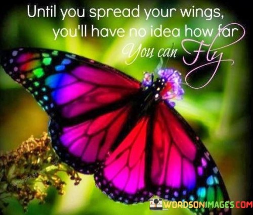 Until-You-Spread-Your-Wings-Youll-Have-No-Idea-How-Far-You-Can-Fly-Quotes.jpeg