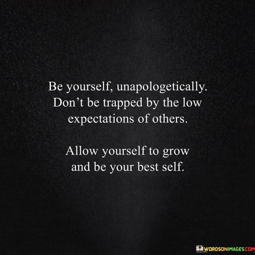 Be-Yourself-Unapologetically-Dont-Be-Trapped-By-The-Low-Expectations-Of-Others-Quotes.jpeg