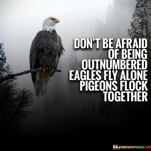 Don't Be Afraid Of Being Outnumbered Eagles Fly Alone Pigeones Quotes