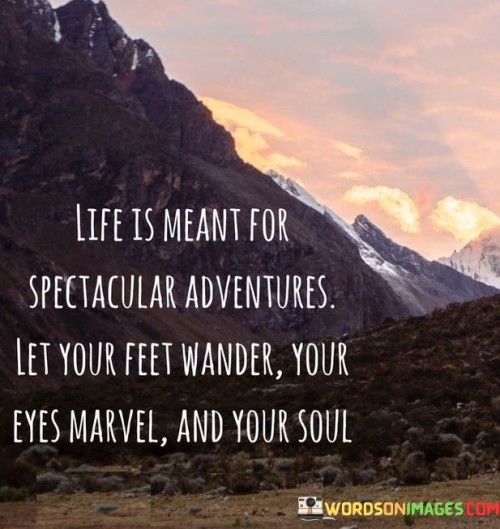 Life Is Meant For Spectacular Adventures Quotes