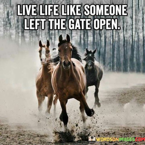 Live Life Like Someone Left The Gate Open Quotes