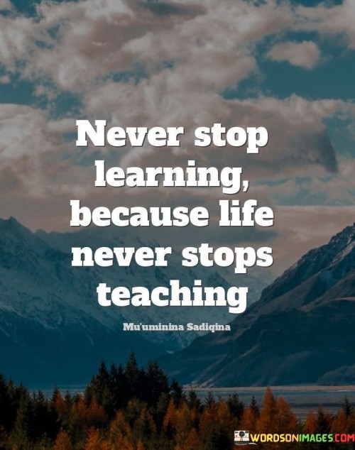 Never Stop Learning Because Life Never Stops Teaching Quotes