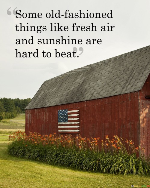 Some Old Fashioned Things Like Fresh Air And Sunshine Are Hard To Beat Quotes
