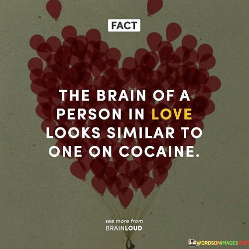 This comparison alludes to the powerful neurological changes that occur when someone is in love. When people are in love, their brains release various neurochemicals like dopamine, oxytocin, and serotonin, which create feelings of pleasure, reward, and attachment. These same chemicals are associated with the euphoric sensations induced by cocaine use.

However, it's essential to clarify that the comparison is not implying that love is equivalent to drug addiction. While there are similarities in the brain's response, love is a complex and natural emotion, whereas cocaine is a highly addictive and harmful substance. The comparison serves to highlight the intensity and potency of the neurological reactions associated with love.

In summary, this statement underscores the intriguing overlap between the brain's response to love and the effects of cocaine, showcasing the profound impact that love can have on our neural chemistry.
