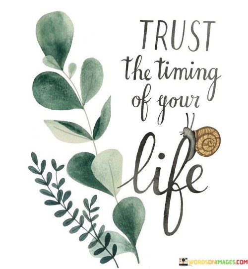 Trust The Timing Of Your Life Quotes