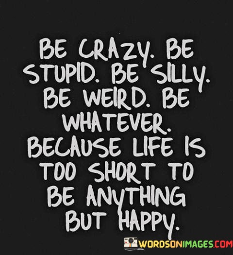 Be-Crazy-Be-Stupid-Be-Silly-Be-Weird-Be-Whatever-Because-Life-Is-Quotes.jpeg