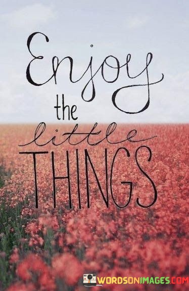 Enjoy-The-Little-Things-Quotes.jpeg
