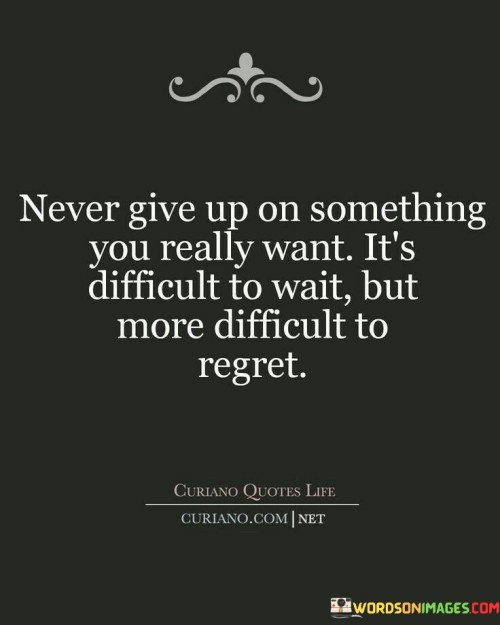 Never-Give-Up-On-Something-You-Really-Want-Quotes.jpeg