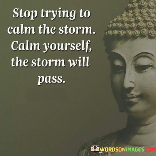 Stop Trying To Calm The Storm Calm Yourself The Storm Will Pass Quotes