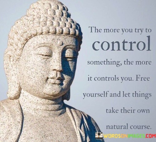 The More You Try To Control Somethings The More It Controls You Quotes