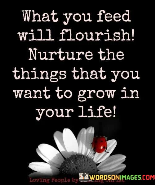 What-You-Feed-Will-Flourish-Nurture-The-Things-That-Quotes.jpeg