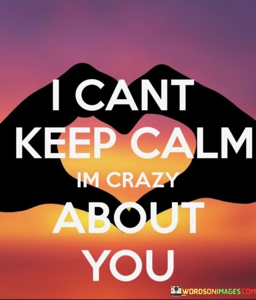 Firstly, it uses the popular phrase "I can't keep calm" to playfully convey that their emotions are so strong and passionate that they cannot remain composed or unaffected.

Secondly, it straightforwardly declares their affection and infatuation for the person, emphasizing that their feelings are anything but calm or rational.

In essence, this statement is a lighthearted and endearing way to express the depth of one's emotions and attraction. It communicates that the speaker's love and excitement are so overwhelming that maintaining composure is simply not possible when they think about the person they adore.