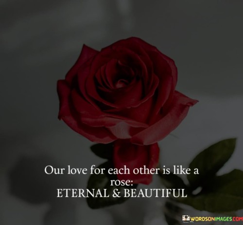 In the first paragraph, "Our Love For Each Other Is Like A Rose" introduces the central metaphor. A rose is often associated with beauty and timelessness, setting the tone for the description of their love.

In the second paragraph, "Quotes Eternal" suggests that their love is eternal, transcending time and remaining constant. It signifies that their affection for each other will never fade.

In the final paragraph, "and Beautiful" emphasizes not only the endurance but also the beauty of their love. It conveys that their relationship is not only everlasting but also a source of profound beauty and admiration. This quote poetically portrays the idea of an enduring and captivating love, akin to the eternal beauty of a rose.