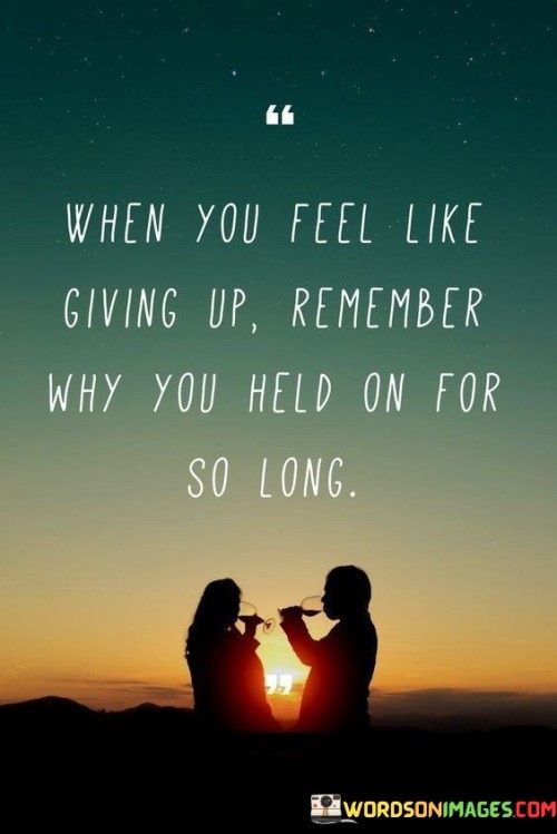 When You Feel Like Giving Up Remember Why You Held Quotes