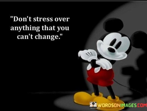 Don't Stress Our Anything That You Can't Change Quotes
