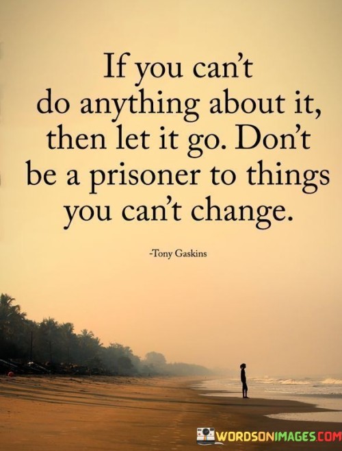 If You Can't Do Anything About It Then Let It Go Quotes