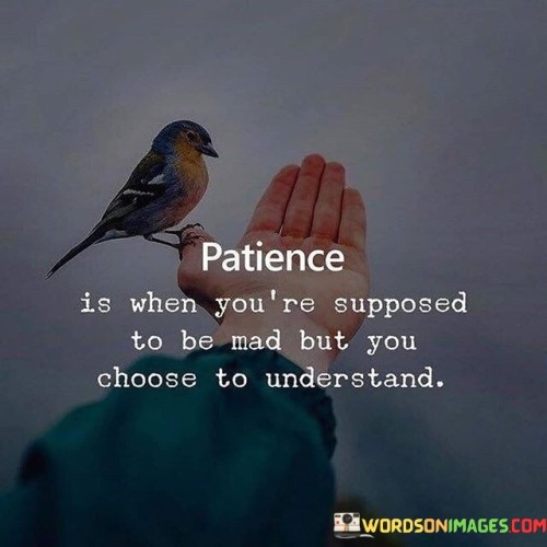 Patience Is When You Are Supposed To Be Mad But You Choose To Understand Quotes