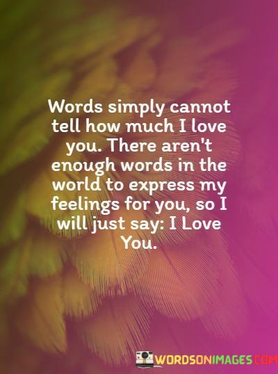 Words-Simply-Cannot-Tell-How-Much-I-Love-You-There-Arent-Quotes.jpeg