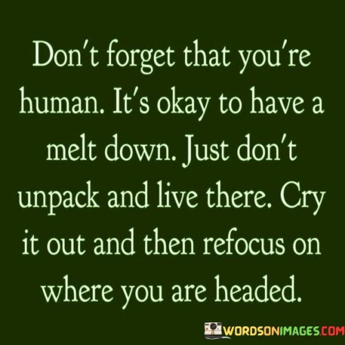 Don't Forget That You're Human It's Okay To Have Quotes