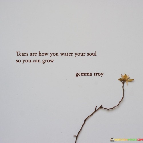 Tears-Are-How-You-Water-Your-Soul-So-You-Can-Grow-Quotes.jpeg
