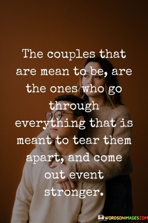 The Couples That Are Mean To Be Are The Ones Who Go Throough Everything Quotes