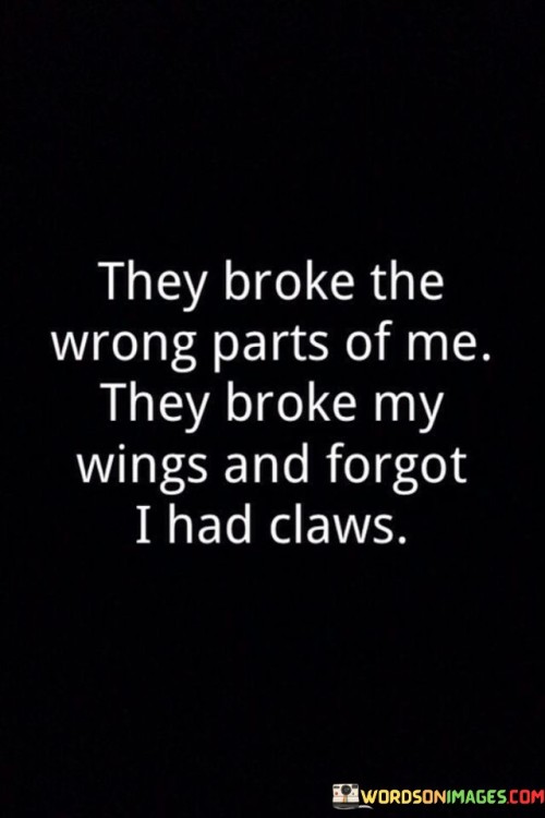 They Broke The Wrong Parts Of Me They Broke Quotes