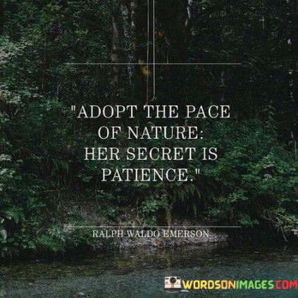 Adopt-The-Pace-Of-Nature-Her-Secret-Is-Patience-Quotes.jpeg