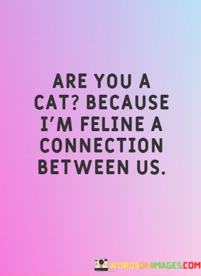 Are-You-A-Cat-Because-Im-Feline-A-Connection-Between-Quotes-Quotes.jpeg
