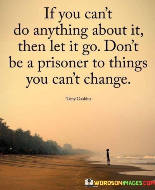 If You Can't Do Anything About It Then Let It Go Quotes