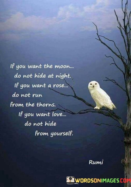 If-You-Want-The-Moon-Do-Not-Hide-At-Night-If-You-Want-Quotes.jpeg