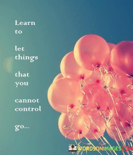 Learn-To-Let-Things-That-You-Cannot-Control-Quotes.jpeg