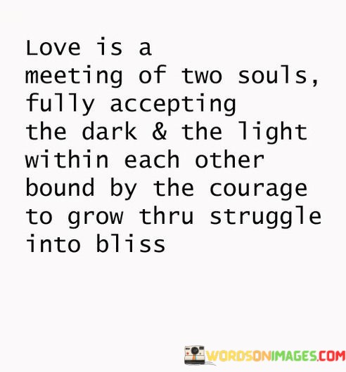 Love-Is-A-Meeting-Of-Two-Souls-Fully-Accepting-The-Dark-Quotes.jpeg