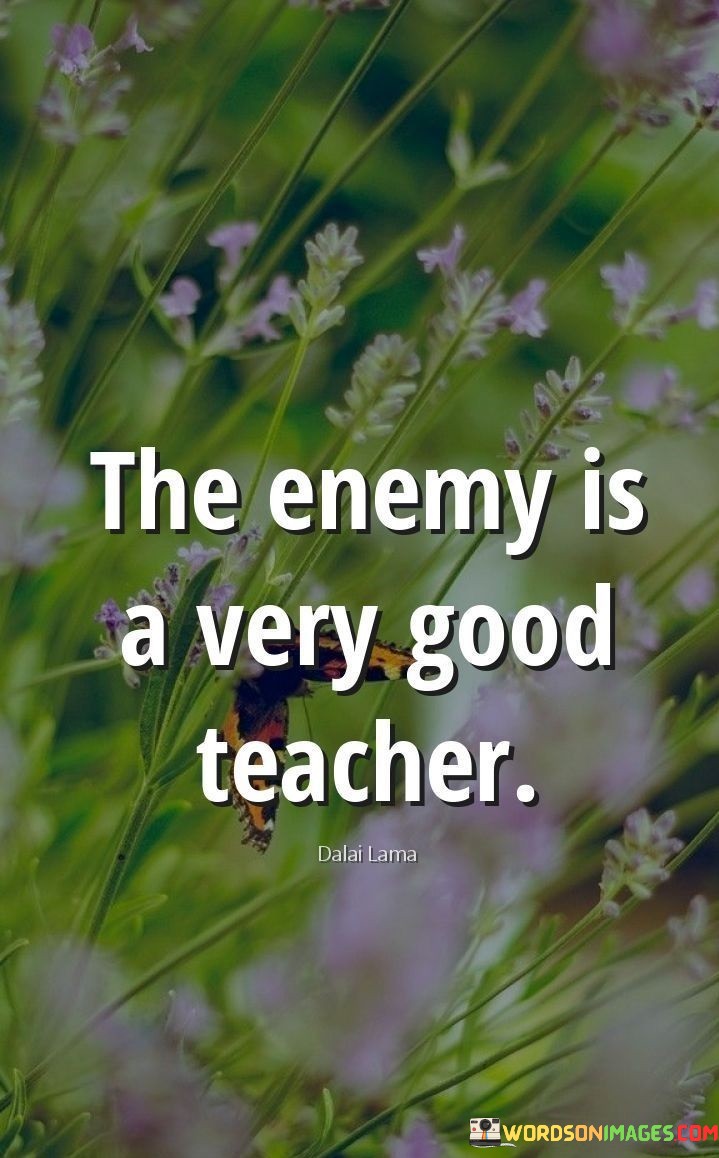 The Enemy Is A Very Good Teacher Quotes