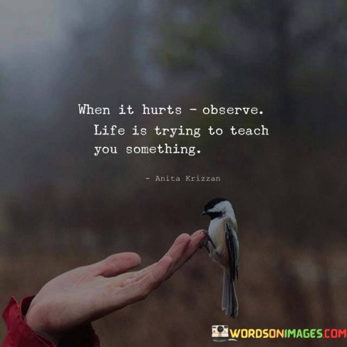 When-It-Hurts-Observe-Life-Is-Trying-To-Teach-Quotes.jpeg