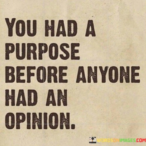 You-Had-A-Purpose-Before-Anyone-Had-An-Opinion-Quotes.jpeg