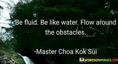 Be Fluid Be Like Water Flow Around The Obstacles Quotes