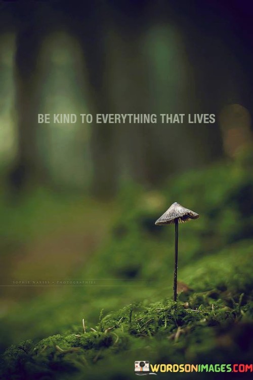 Be-Kind-To-Everything-That-Lives-Sophie-Narses-Photographies-Quotes.jpeg