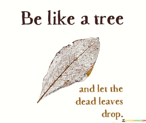 Bee Like A Tree And Let The Dead Leave Drop Quotes