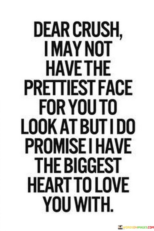 Dear-Crush-I-May-Not-Have-The-Prettiest-Face-For-You-To-Look-At-But-I-Do-Promise-Quotes90d515d94d9e1911.jpeg