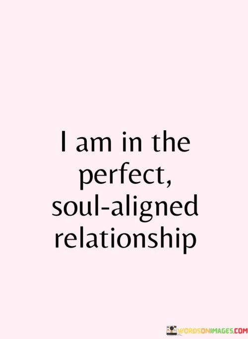 I Am In The Perfect Soul Aligned Relationship Quotes