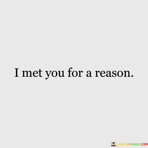 I-Met-You-For-A-Reason-Quotes2d2bde0b39bc4f3e.jpeg