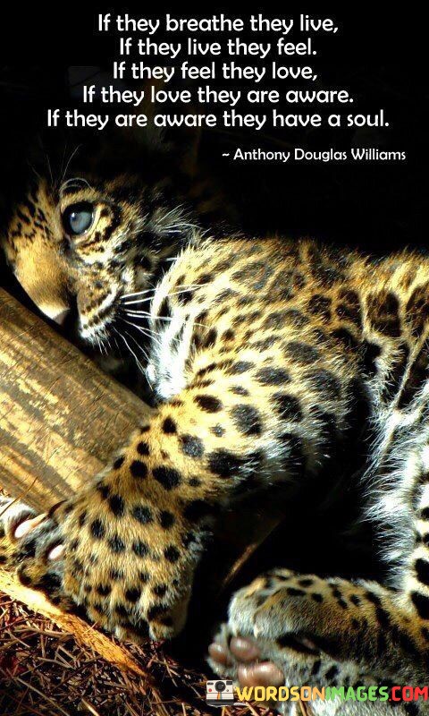 If-They-Breathe-They-Live-If-They-Live-They-Feel-If-They-Feel-They-Love-If-They-Love-They-Are-Aware-If-They-Are-Aware-They-Have-A-Soul-Quotes.jpeg