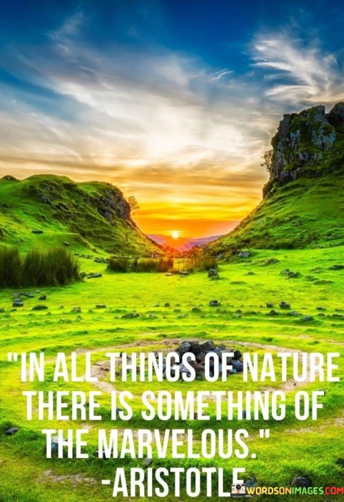 In-All-Things-Of-Nature-There-Is-Something-Of-The-Marvelous-Quotes.jpeg