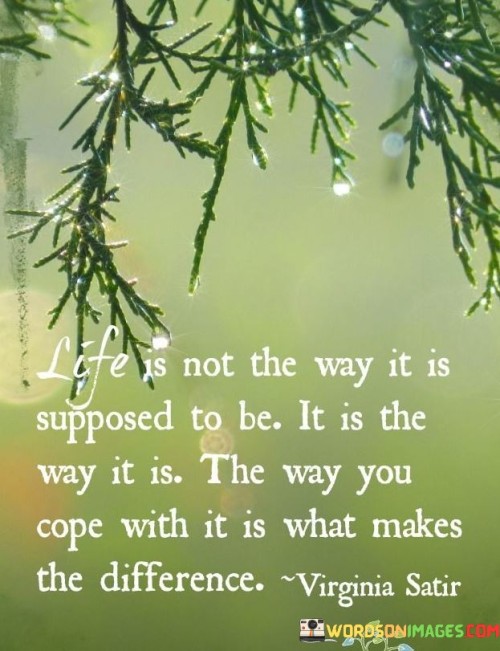 Life-Is-Not-The-Way-It-Is-Supposed-To-Be-It-Is-The-Way-Quotes.jpeg